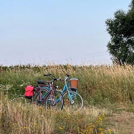 Lwb Ferienwohnung "Auszeit Im Denkmal" Wittenberg ภายนอก รูปภาพ